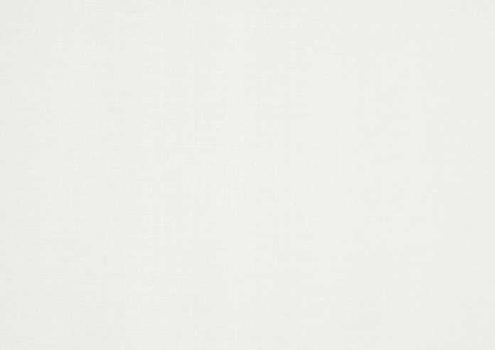 Tussah, Ivory - Fabric Only - Image 3